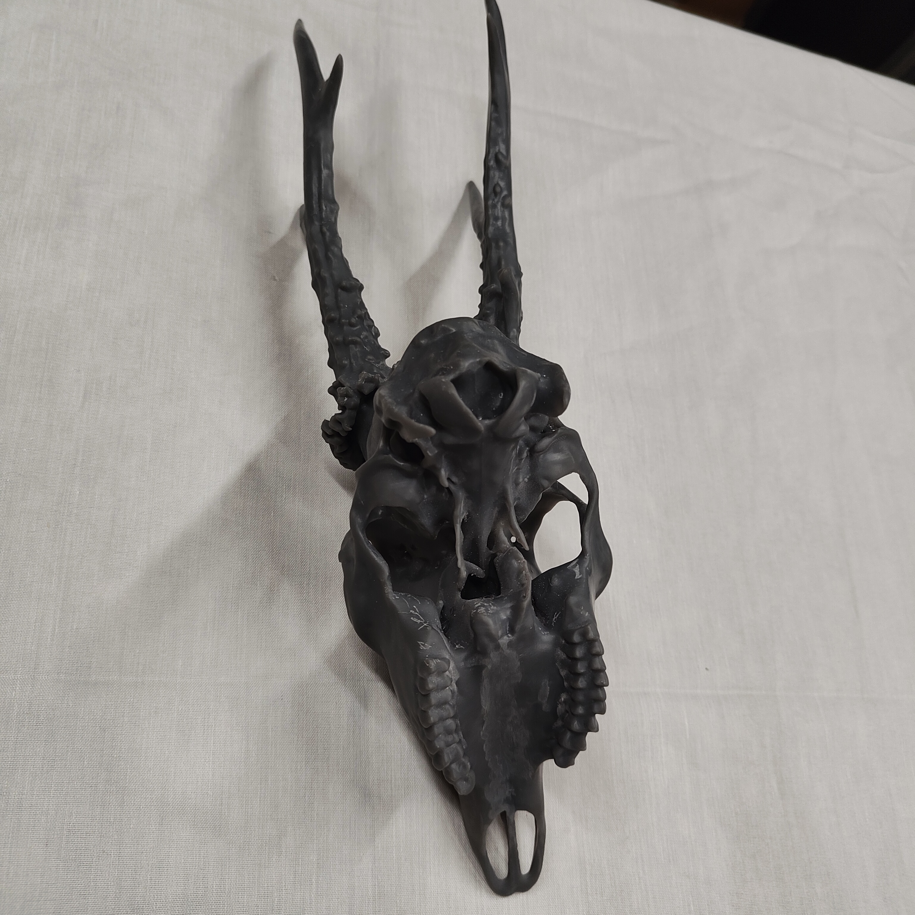 Projekt Geweih – IMG20250905115134.jpg