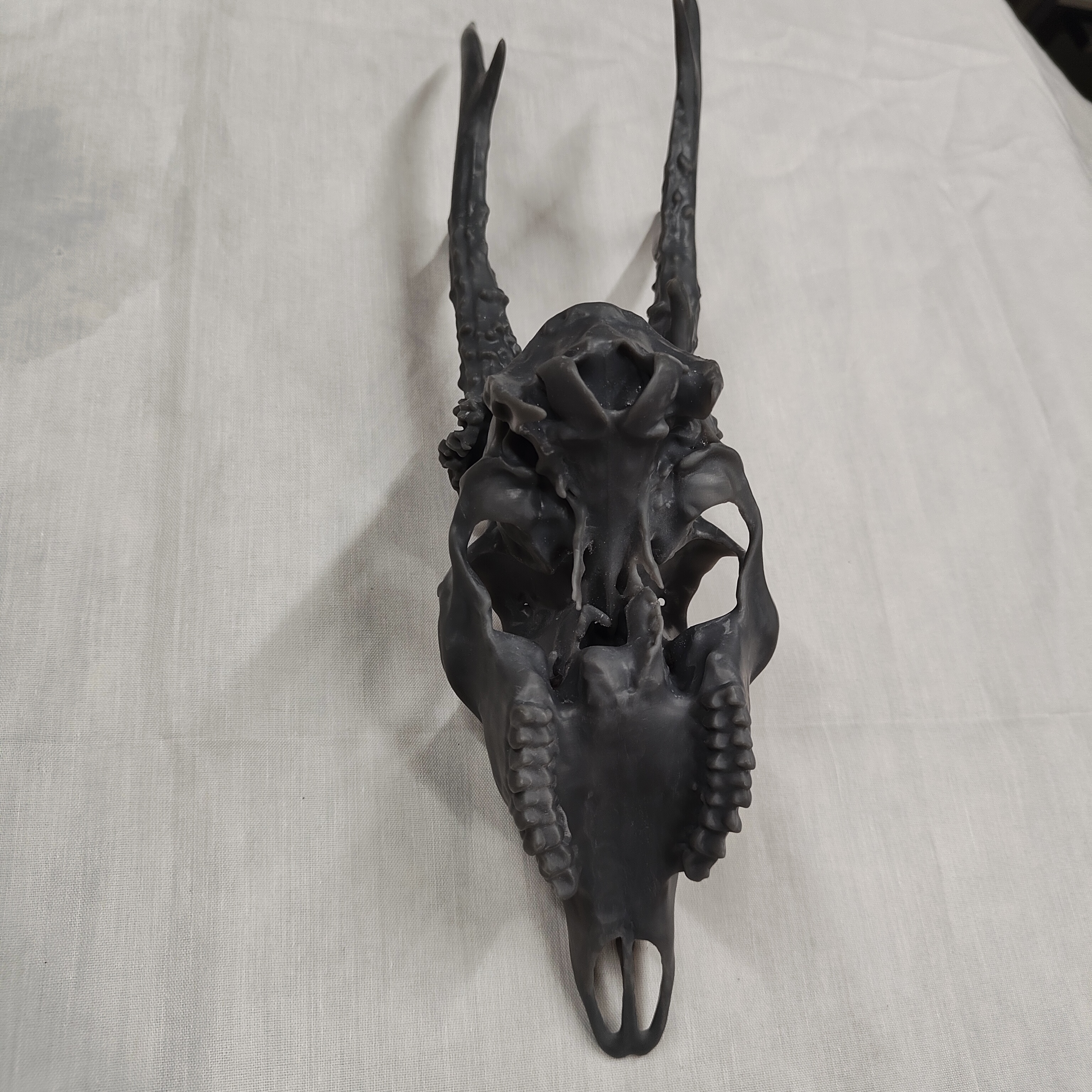 Projekt Geweih – IMG20250905122800.jpg