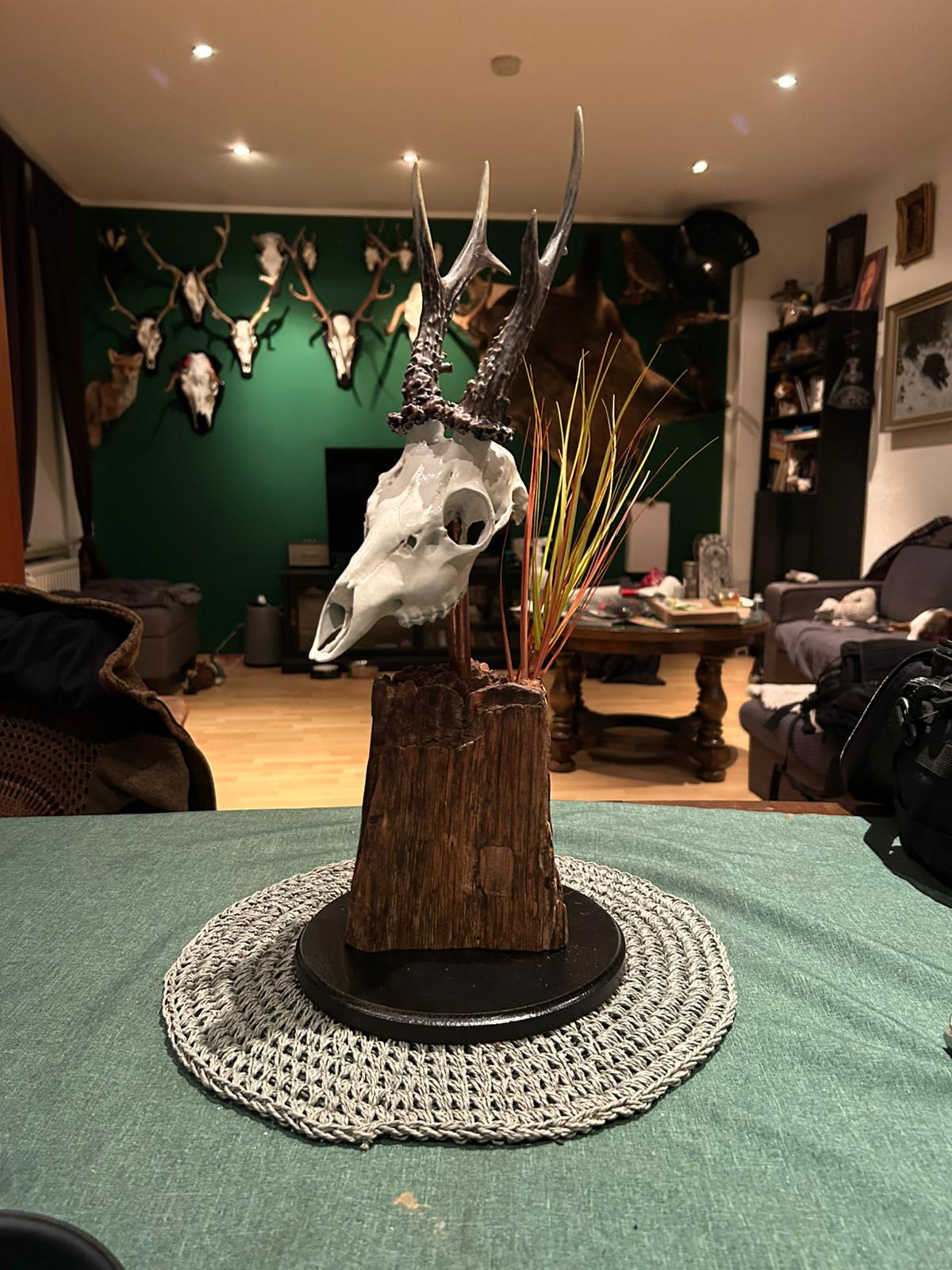 Projekt Geweih – Steibo3D_geweih_04.jpeg