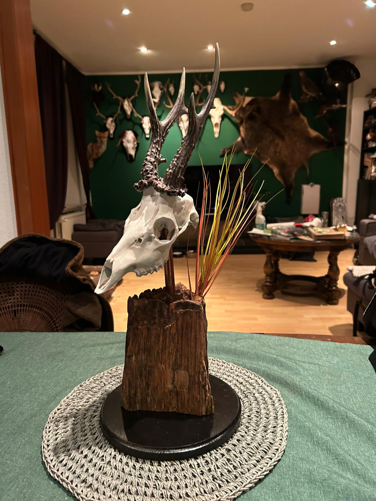 Projekt Geweih – Steibo3D_geweih_06.jpeg