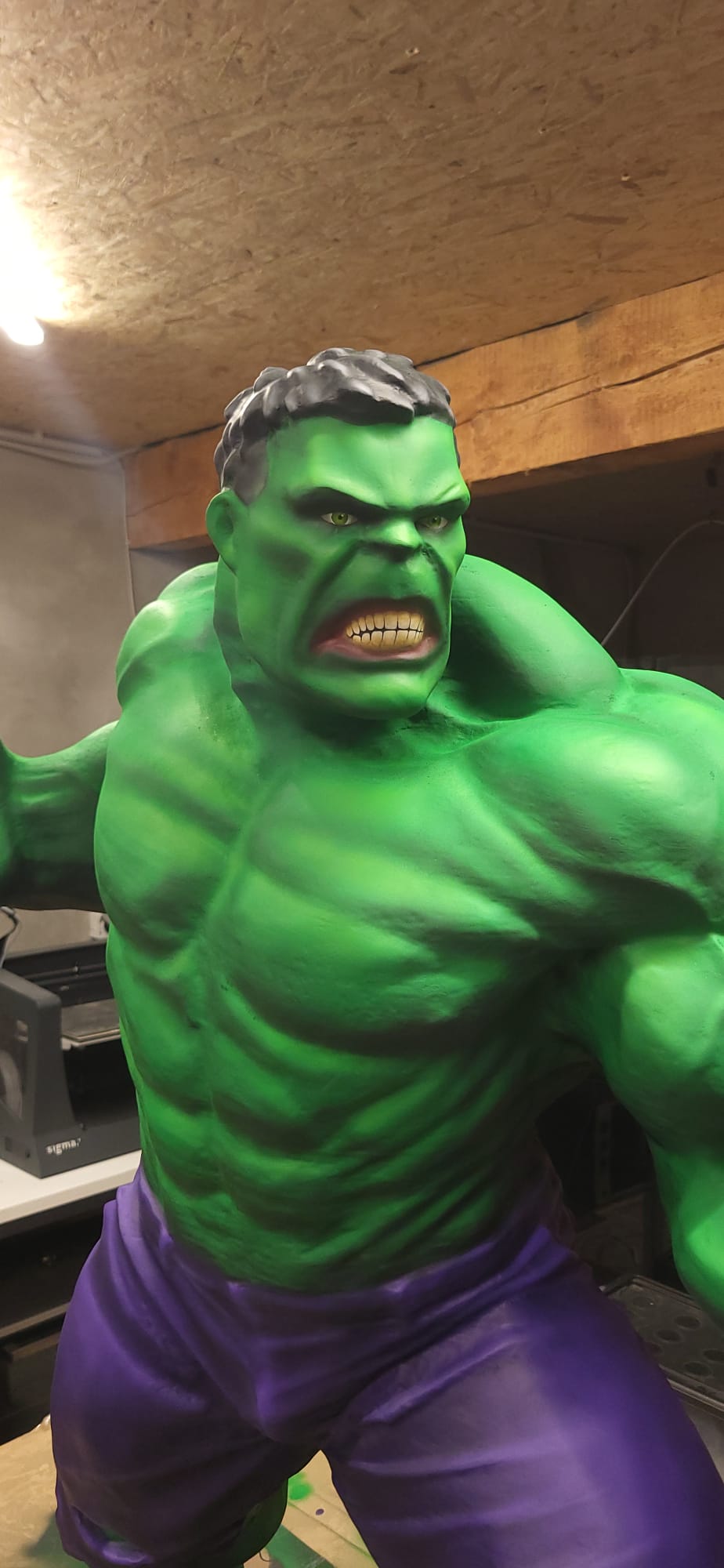 Projekt Hulk – IMG-20250817-WA0015.jpg